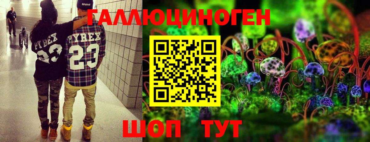 Галлюциногенные грибы Psilocybe Сосновоборск